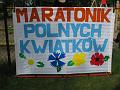 Maratonik Polnych Kwiatkow 01